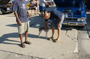 DSC00990.JPG